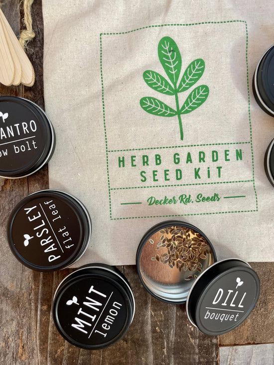 Herb Garden Seed Kit - White Street Market